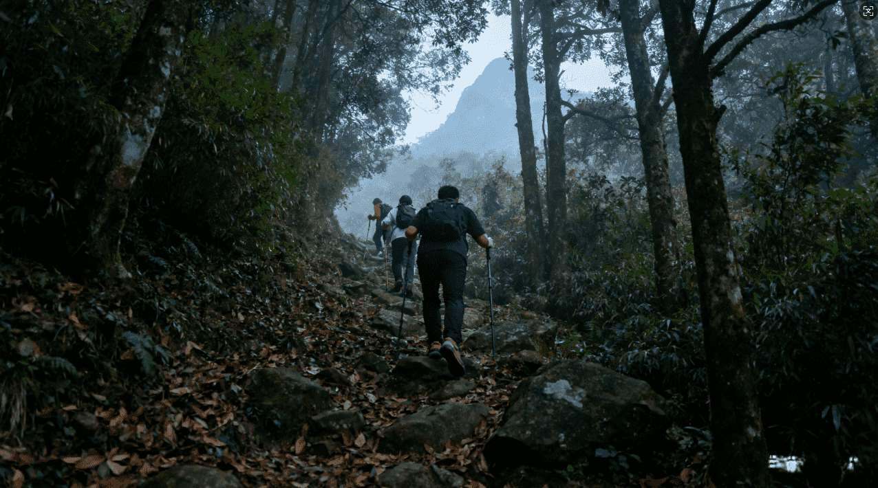 使用PP加速器和天行加速器常见问题及详细解决方案指南